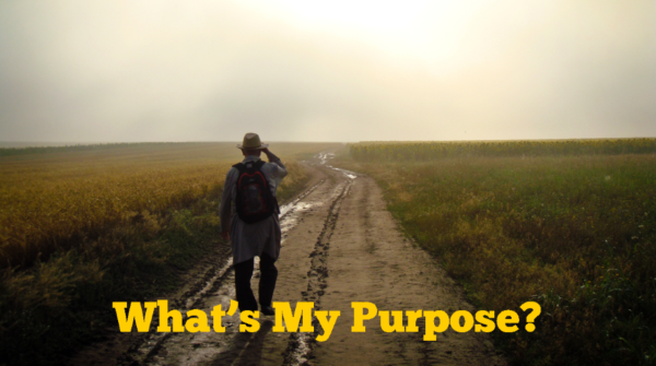 Whats My Purpose?